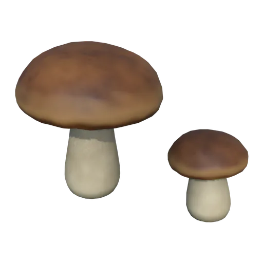 Porcini mushroom
